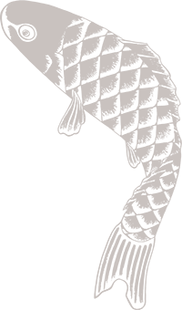 Carpe Koi